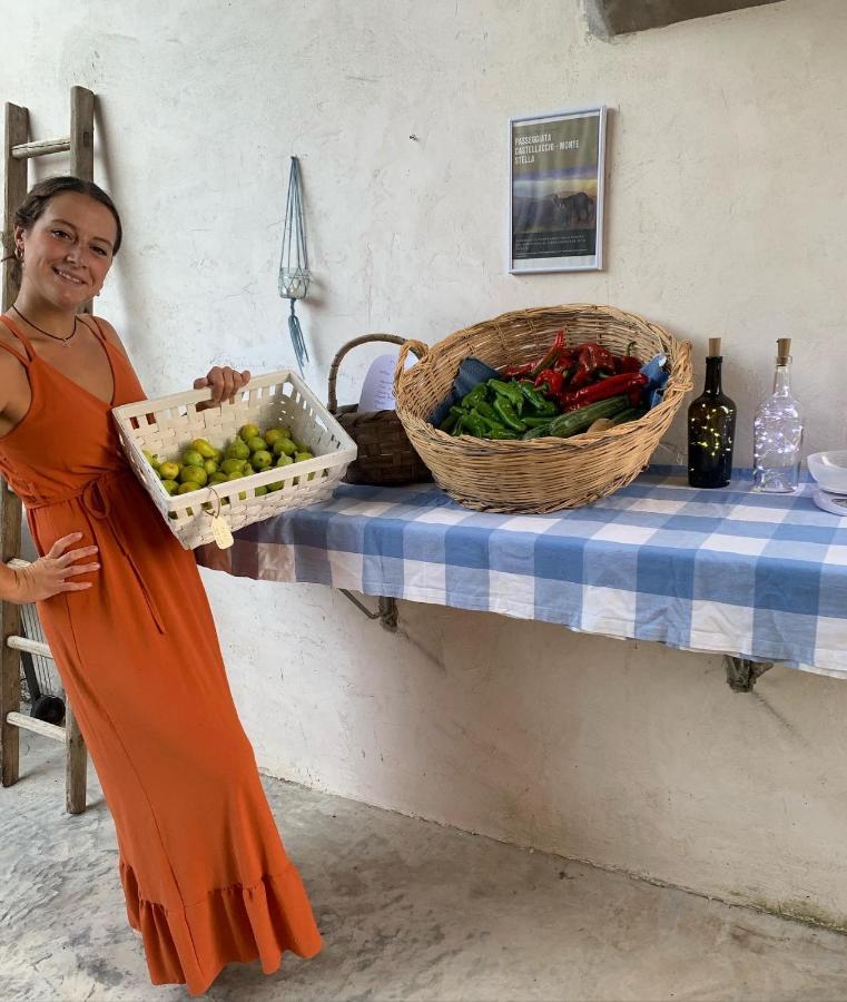 La Corte Di Montagna San Mango Екстериор снимка