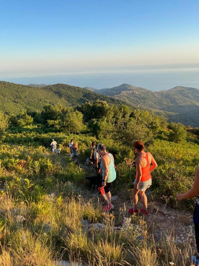 La Corte Di Montagna San Mango Екстериор снимка